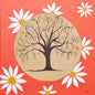 Daisy Series In Orange  — 30×30cm, 12×12" Print only